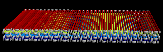 Coil (1)-1